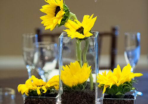 Special Open House June 27th, 2012