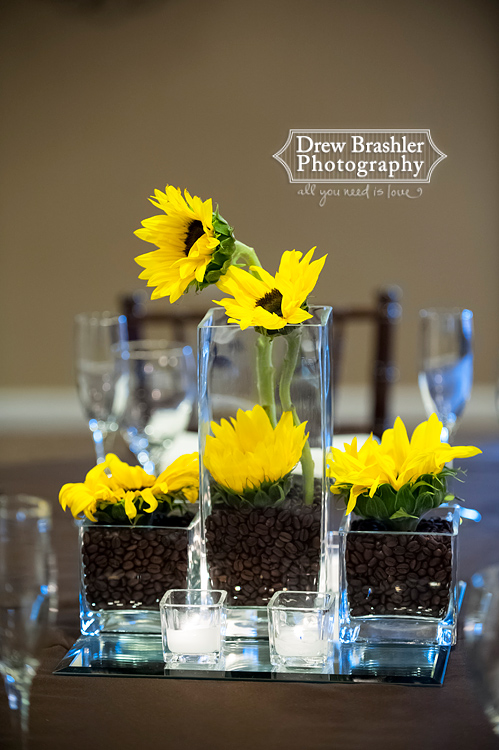 Special Open House June 27th, 2012 featured image