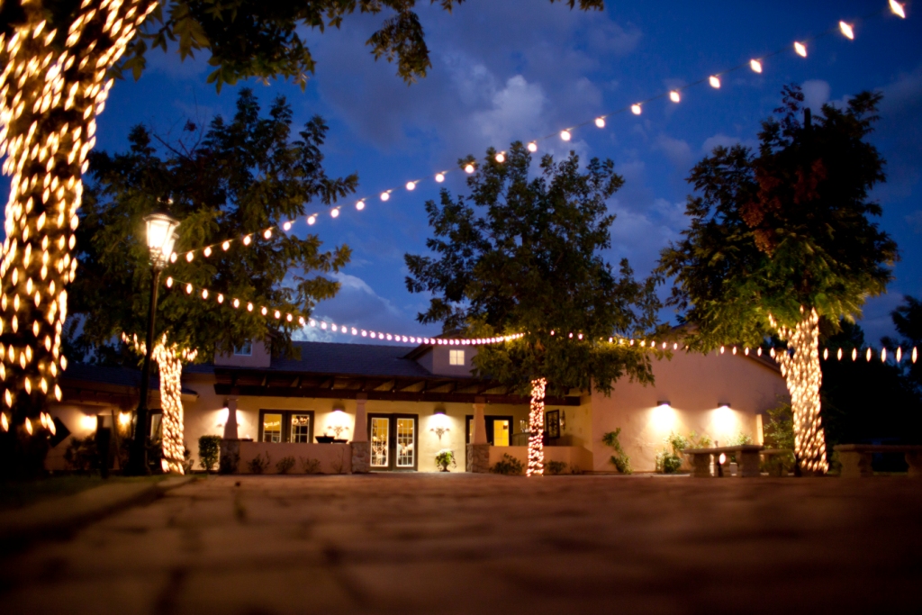 Let There Be Light! by Mindy featured image