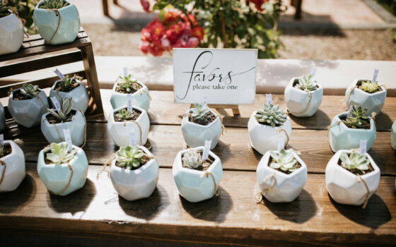 Wedding Favors your Guests will Want to Take Home